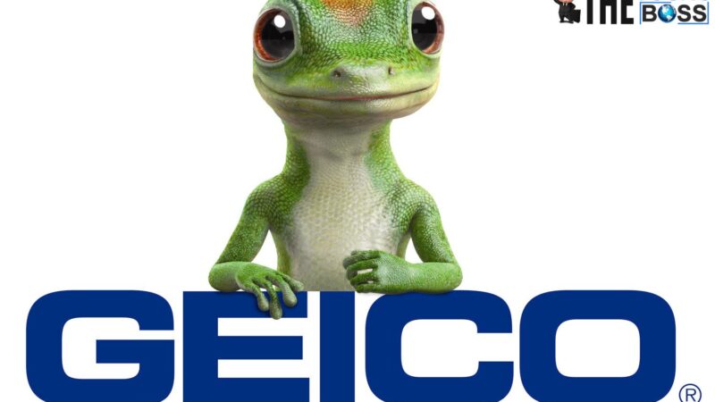 GEICO insurance company