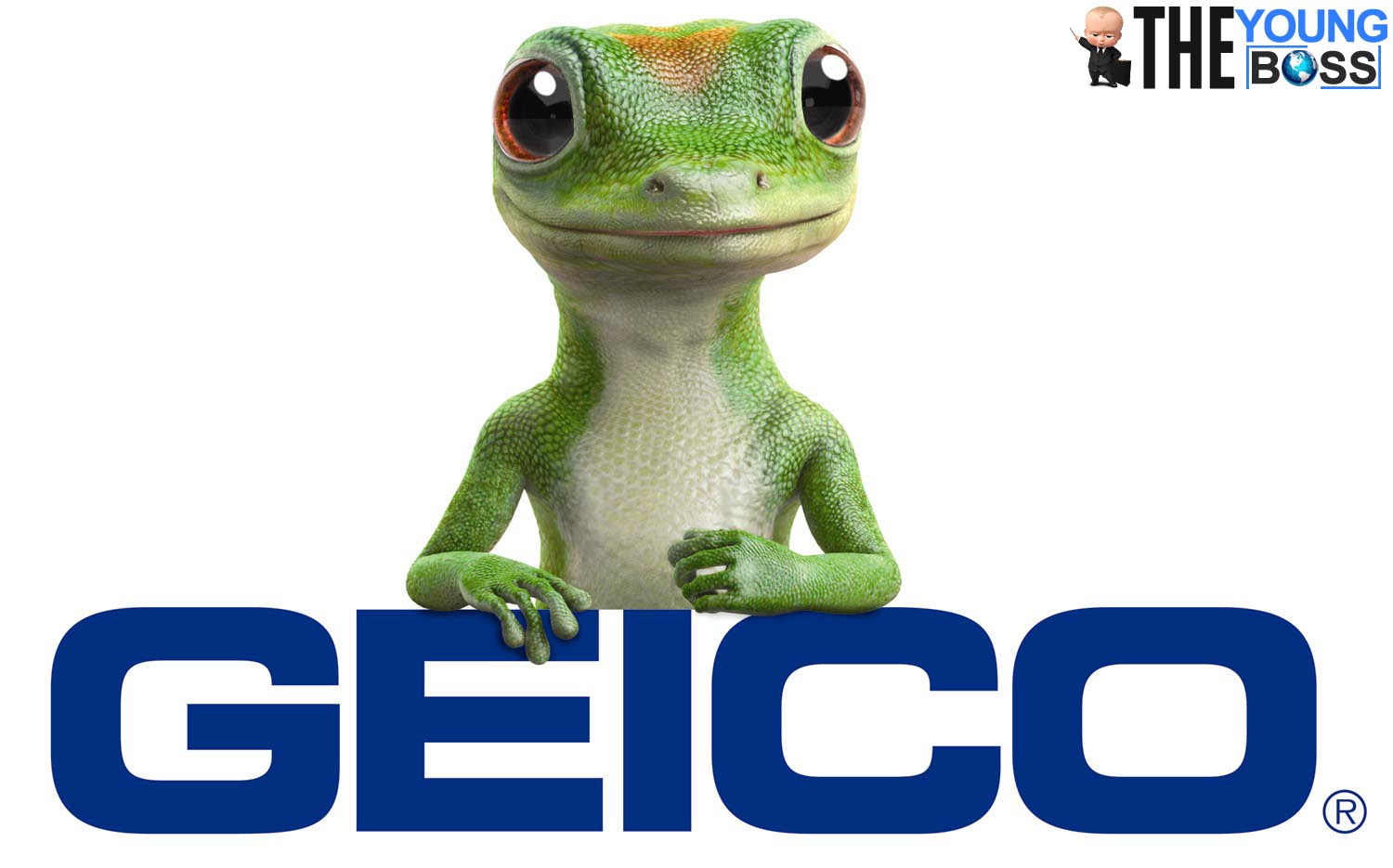 Geico Insurance Review: Read all you need to know15 min read