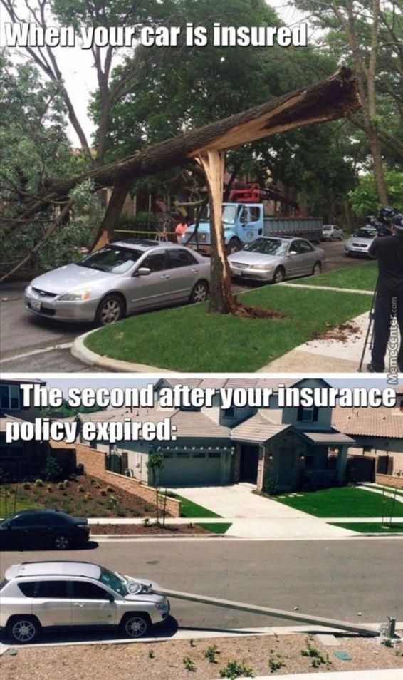 Car Insurance Memes 1